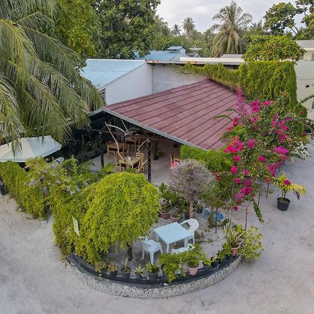 Turtle Maldives - Your Gateway To The Beach & Marine Adventures Await! Omadhoo Екстериор снимка