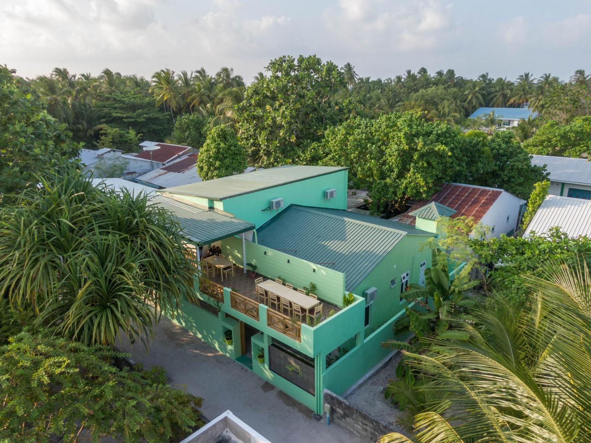 Turtle Maldives - Your Gateway To The Beach & Marine Adventures Await! Omadhoo Екстериор снимка